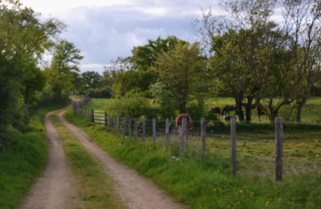 Gite Au Haras Les Aubiers Экстерьер фото