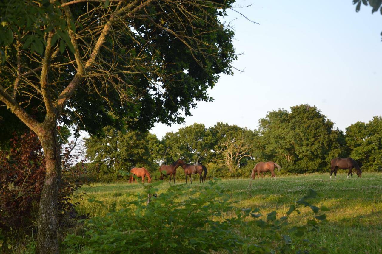 Gite Au Haras Les Aubiers Экстерьер фото